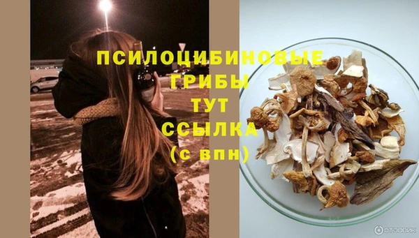 первитин Белокуриха