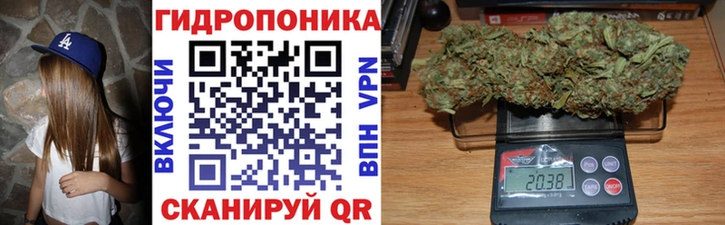 закладка  Бутурлиновка  даркнет формула  Конопля план 